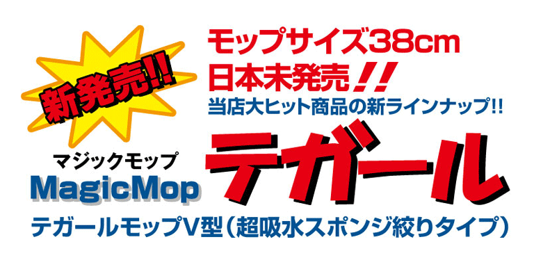 テガールモップＶ型